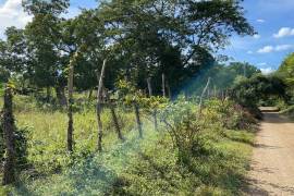 Residential Lot for Sale in Santa Cruz