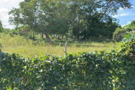 Residential Lot for Sale in Santa Cruz