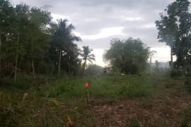 Residential Lot for Sale in Linstead