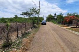 Residential Lot for Sale in Denbigh