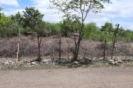 Residential Lot for Sale in Denbigh