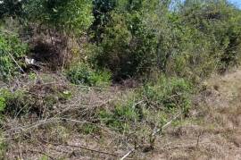 Residential Lot for Sale in May Pen