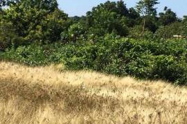 Residential Lot for Sale in Discovery Bay