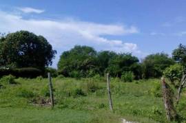 Residential Lot for Sale in Black River