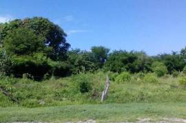 Residential Lot for Sale in Black River