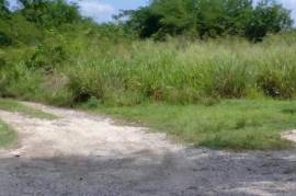 Residential Lot for Sale in Black River