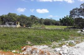 Residential Lot for Sale in Adelphi