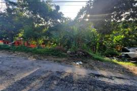 Residential Lot for Sale in Port Antonio