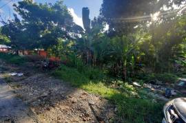 Residential Lot for Sale in Port Antonio