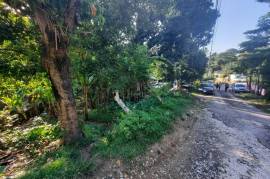 Residential Lot for Sale in Port Antonio