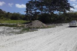 Residential Lot for Sale in Adelphi