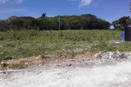 Residential Lot for Sale in Adelphi