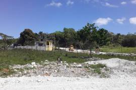 Residential Lot for Sale in Adelphi