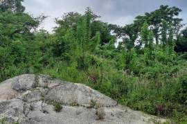 Residential Lot for Sale in Santa Cruz