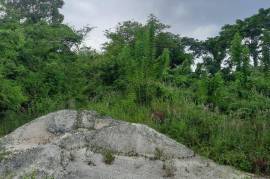 Residential Lot for Sale in Santa Cruz