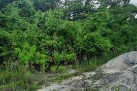 Residential Lot for Sale in Santa Cruz