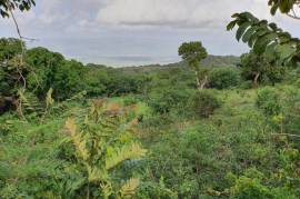 Residential Lot for Sale in Spur Tree