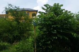 Residential Lot for Sale in Middle Quarters