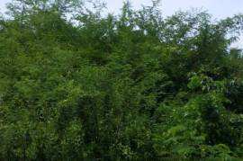 Residential Lot for Sale in Middle Quarters
