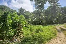 Residential Lot for Sale in Montego Bay