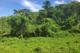 Residential Lot for Sale in Montego Bay