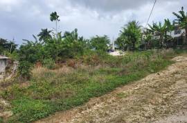 Residential Lot for Sale in Granville