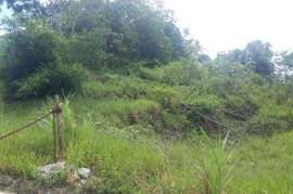 Residential Lot for Sale in Hat Field