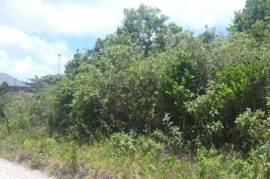 Residential Lot for Sale in Hat Field