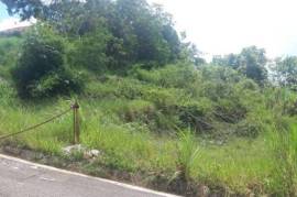 Residential Lot for Sale in Hat Field