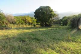 Residential Lot for Sale in Mountain Side