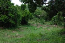 Residential Lot for Sale in May Pen