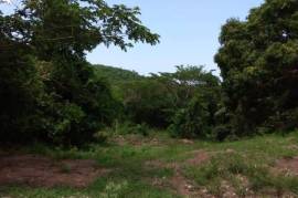 Residential Lot for Sale in May Pen