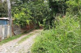 Residential Lot for Sale in Oracabessa