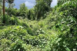 Residential Lot for Sale in Oracabessa