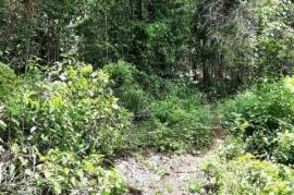 Residential Lot for Sale in Oracabessa