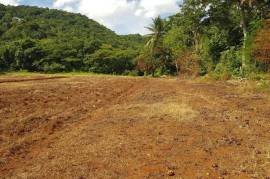 Residential Lot for Sale in Keith