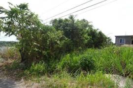 Residential Lot for Sale in Duncans