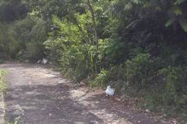 Residential Lot for Sale in Red Hills