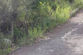 Residential Lot for Sale in Red Hills