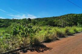 Residential Lot for Sale in Junction