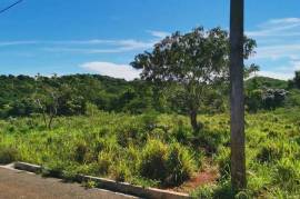 Residential Lot for Sale in Junction