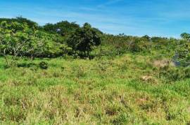 Residential Lot for Sale in Junction