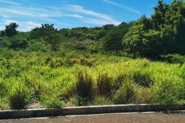 Residential Lot for Sale in Junction