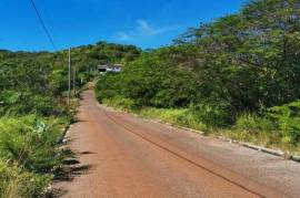 Residential Lot for Sale in Junction