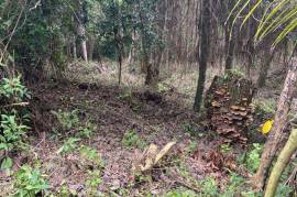 Residential Lot for Sale in Highgate