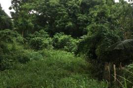 Residential Lot for Sale in Highgate