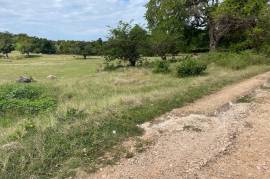 Residential Lot for Sale in Rio Bueno