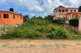 Residential Lot for Sale in Rio Bueno