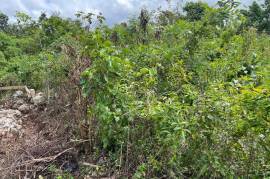 Residential Lot for Sale in Rio Bueno