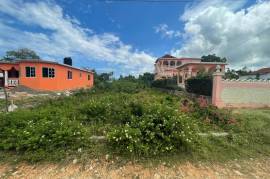 Residential Lot for Sale in Rio Bueno